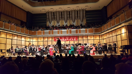 中國(guó)僑網(wǎng)音樂會(huì)現(xiàn)場(chǎng)