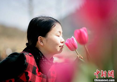 中國僑網資料圖(中新社記者 張暉 攝)