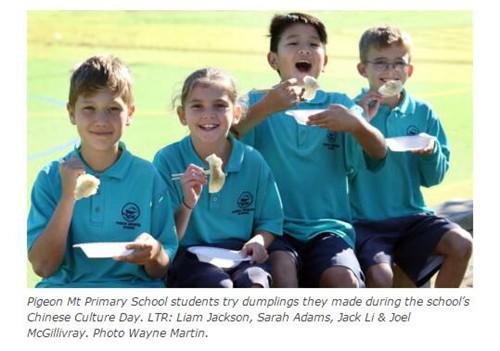 中國僑網(新西蘭天維網)