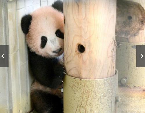 中國(guó)僑網(wǎng)