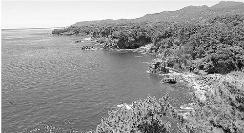 中國僑網(wǎng)日本靜岡縣伊豆半島