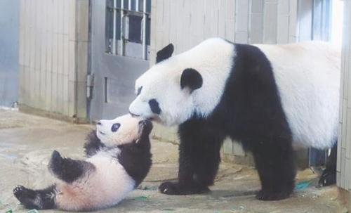 中國(guó)僑網(wǎng)