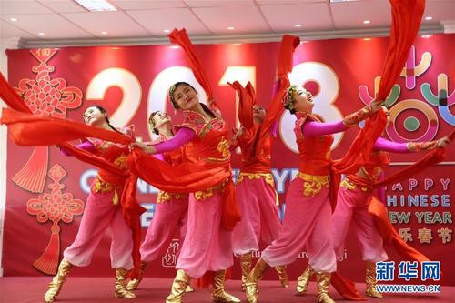 河南省藝術(shù)團演出拉開斐濟“歡樂春節(jié)”序幕