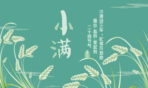 中國僑網(wǎng)今日迎來“小滿”節(jié)氣。